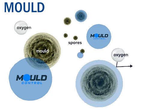 Mould Control Spray 500ml RTU